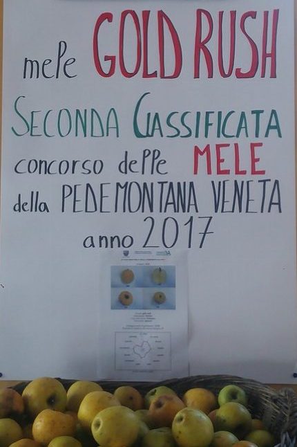 Azienda Agricola Marco Sartore. — foto 8