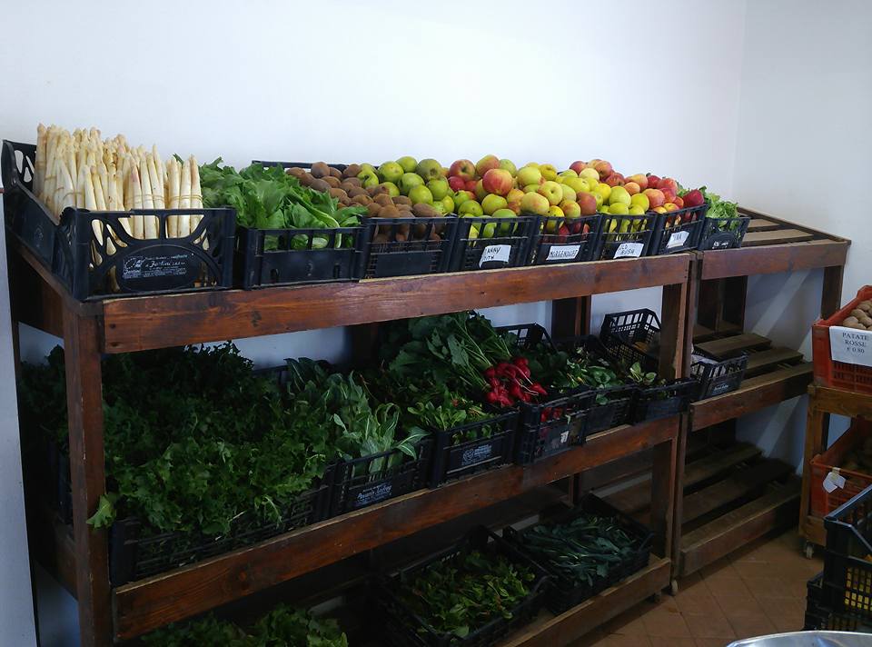 Azienda Agricola Marco Sartore. — foto 7